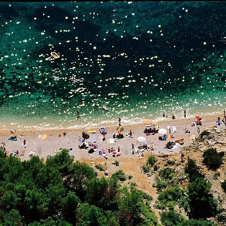Alenka 3-sersic A4+1 Nov.-s-baska Διαμέρισμα