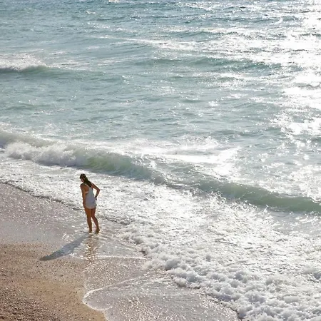Alenka 3-sersic A4+1 Nov.-s-baska *