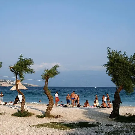 Alenka 3-sersic A4+1 Nov.-s-baska *