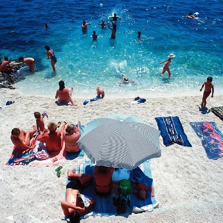 Alenka 3-sersic A4+1 Nov.-s-baska *